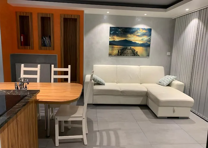 Le Saint Simond 公寓 艾克斯莱班